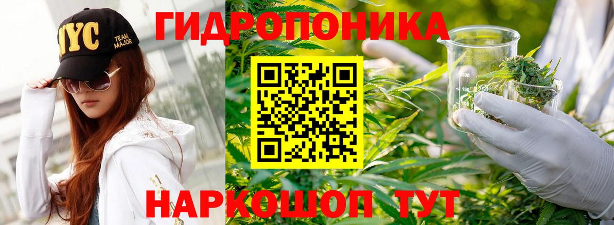 МАРИХУАНА LSD WEED  Вход с VPN  Шишки марихуана планчик  Марихуана VHQ  Гусиноозёрск 